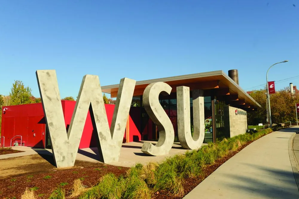 washington state online mba program​